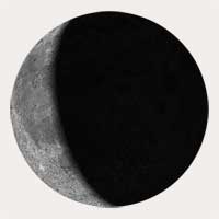 lunar disc