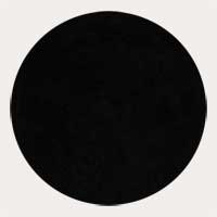 lunar disc