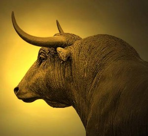 WOODEN BULL