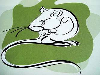 rat characteristics