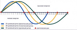 bioritm-cheloveka-geocult-2f