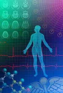 Human biorhythms