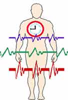 Critical days of biorhythms